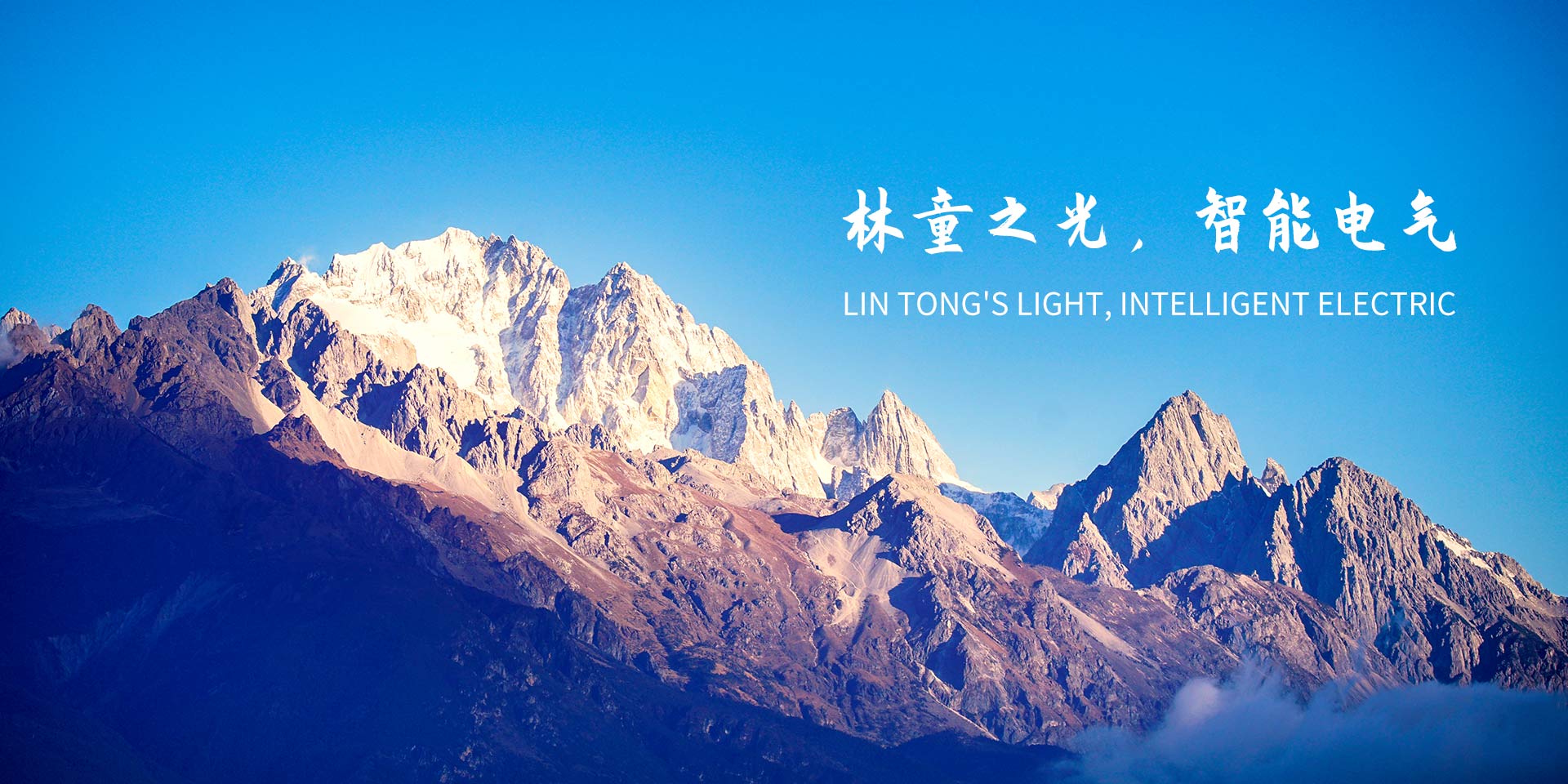 上海林童智能电气有限公司 